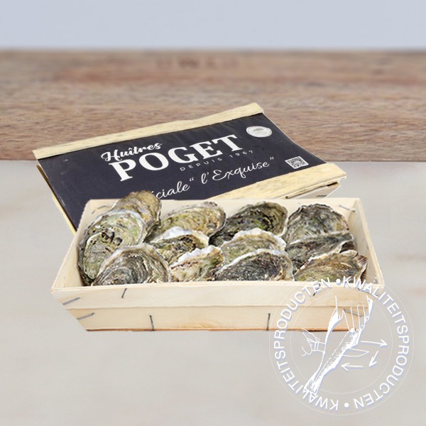 Foto oesters Poget
