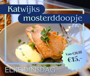 December dinsdagactie mosterddoopje